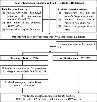Two simple-to-use web-based nomograms to predict overall survival and cancer-specific survival in patients with extremity fibrosarcoma